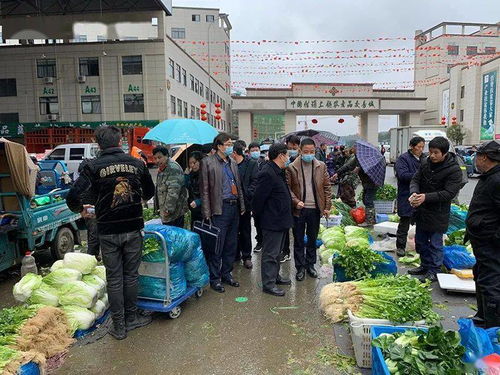 春節期間食用農產品質量安全專項執法行動全面展開，筑牢群眾“菜籃子”安全防線